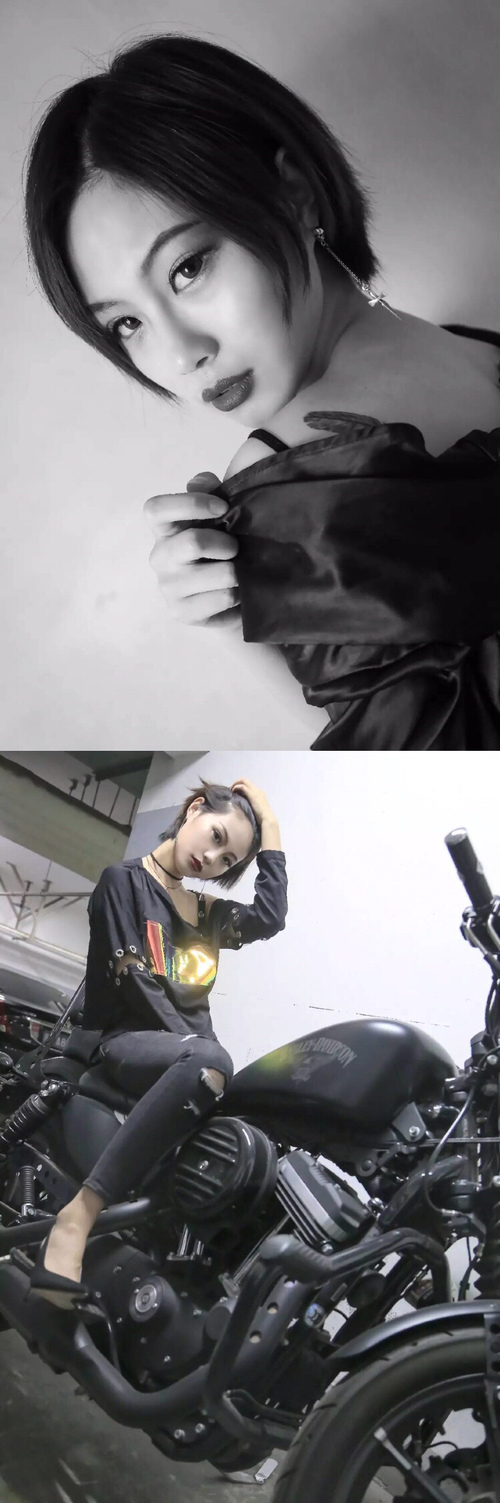 辽宁飞豹反击效率高成功率位居联盟前列,辽宁飞豹cbdl